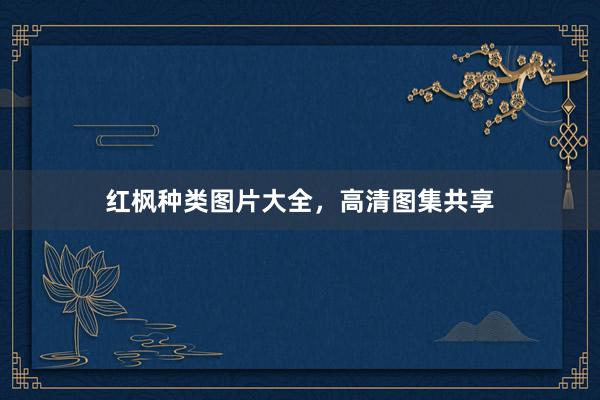 红枫种类图片大全,高清图集共享