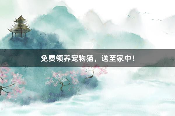 免费领养宠物猫，送至家中！